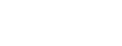 Options Logo